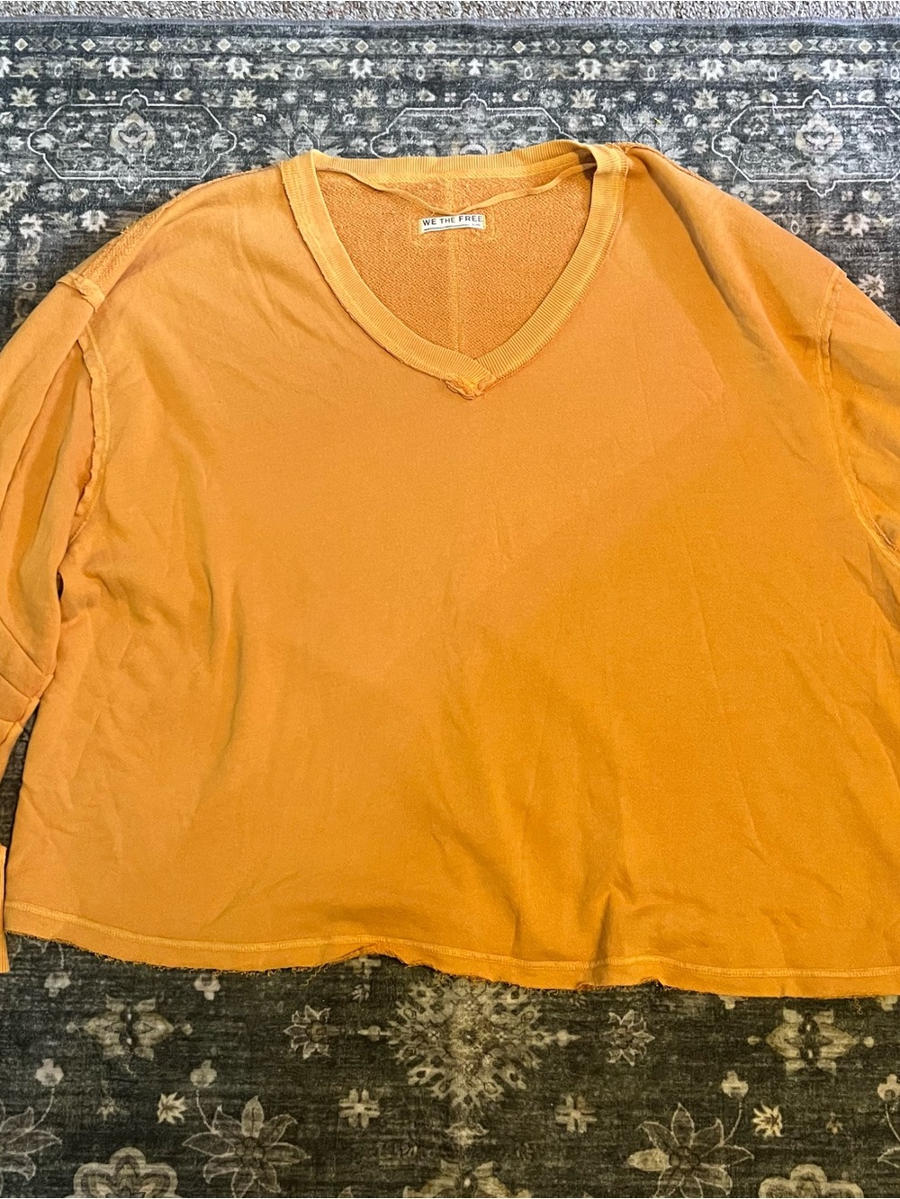 We The Free V Neck Sweatshirt